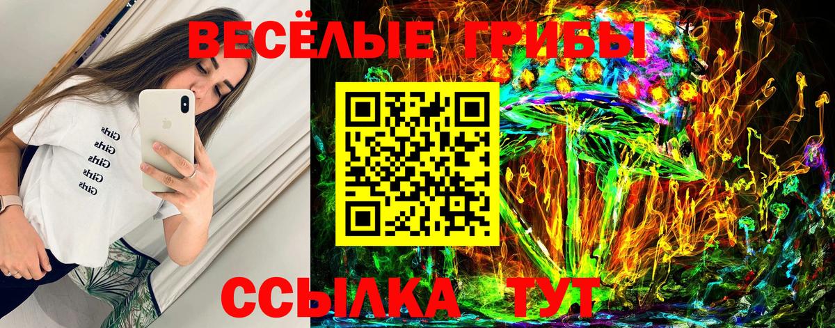 Рязань  Псилоцибиновые грибы мицелий  Вход с VPN 