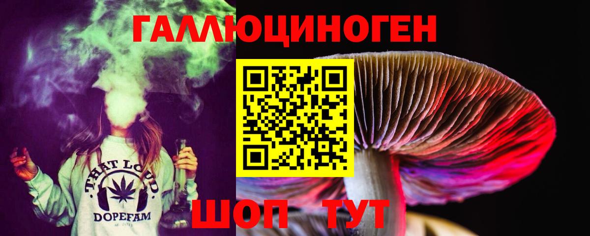 Галлюциногенные грибы Cubensis Рязань